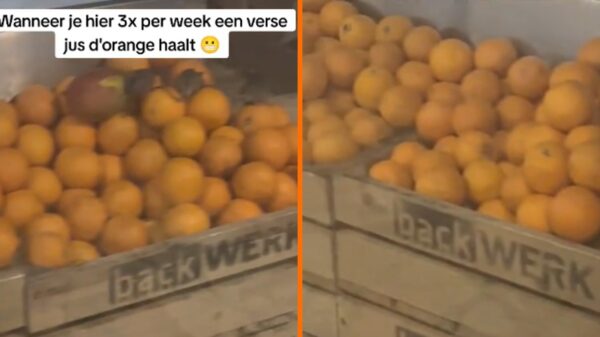 Beelden zorgen ervoor dat je de verse jus d'orange op Rotterdam Centraal voorlopig even overslaat