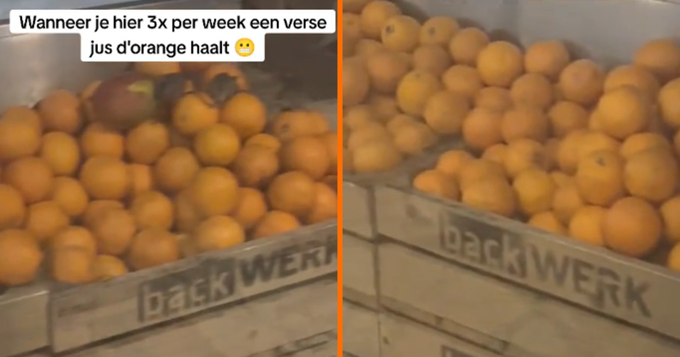 Beelden zorgen ervoor dat je de verse jus d'orange op Rotterdam Centraal voorlopig even overslaat