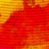 'Tropische hitte keert terug: Op deze dagen kan het 34 graden worden'