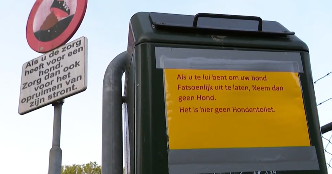 Dit is hoeveel je moet aftikken als je hondenpoep niet opruimt