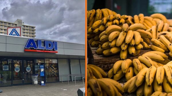 95 kilo coke bij Aldi-supermarkten terecht gekomen door 'foutje' in Antwerpse haven