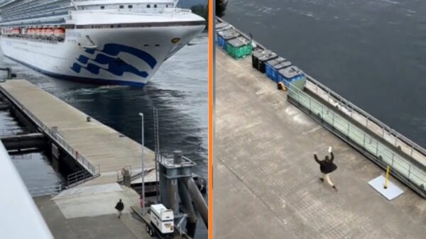 Video van man die zijn cruiseschip mist heeft een verrassend einde