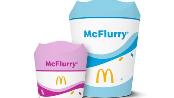 mini mcflurry