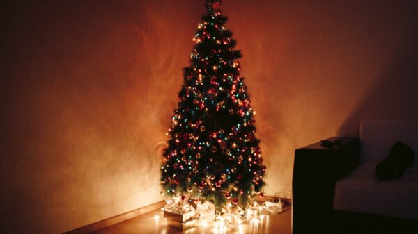 Onderzoek wijst uit: 'Nu al kerstboom opzetten maakt je gelukkiger'