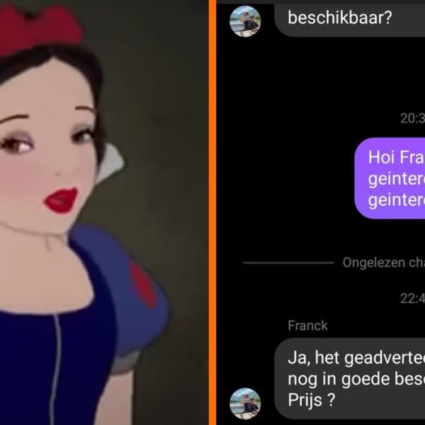 'Sneeuwwitje' stuurt oplichter op hilarische wijze naar de perfecte plek