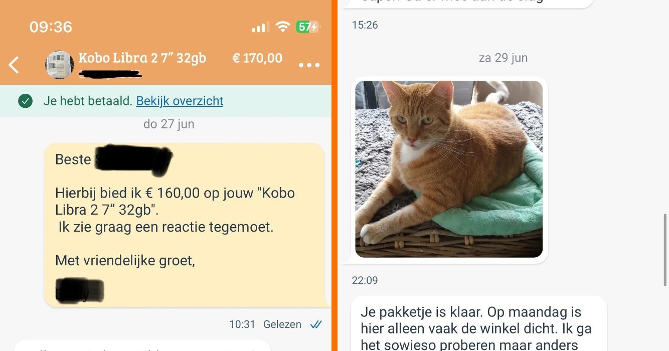 Vrouw blijkt tot eigen verrassing leven van kat te hebben gered met kopen e-reader op Marktplaats