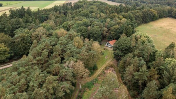 Deze absolute droomwoning in het bos is de droom van iedere introvert