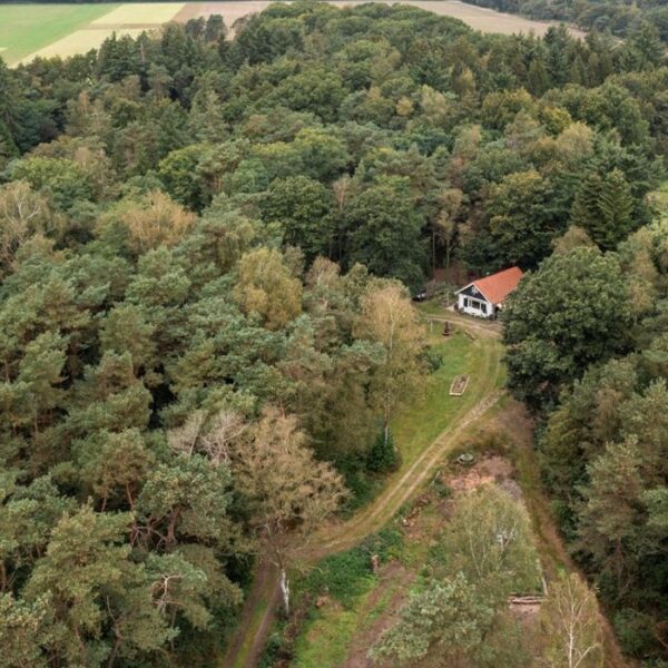 Deze absolute droomwoning in het bos is de droom van iedere introvert