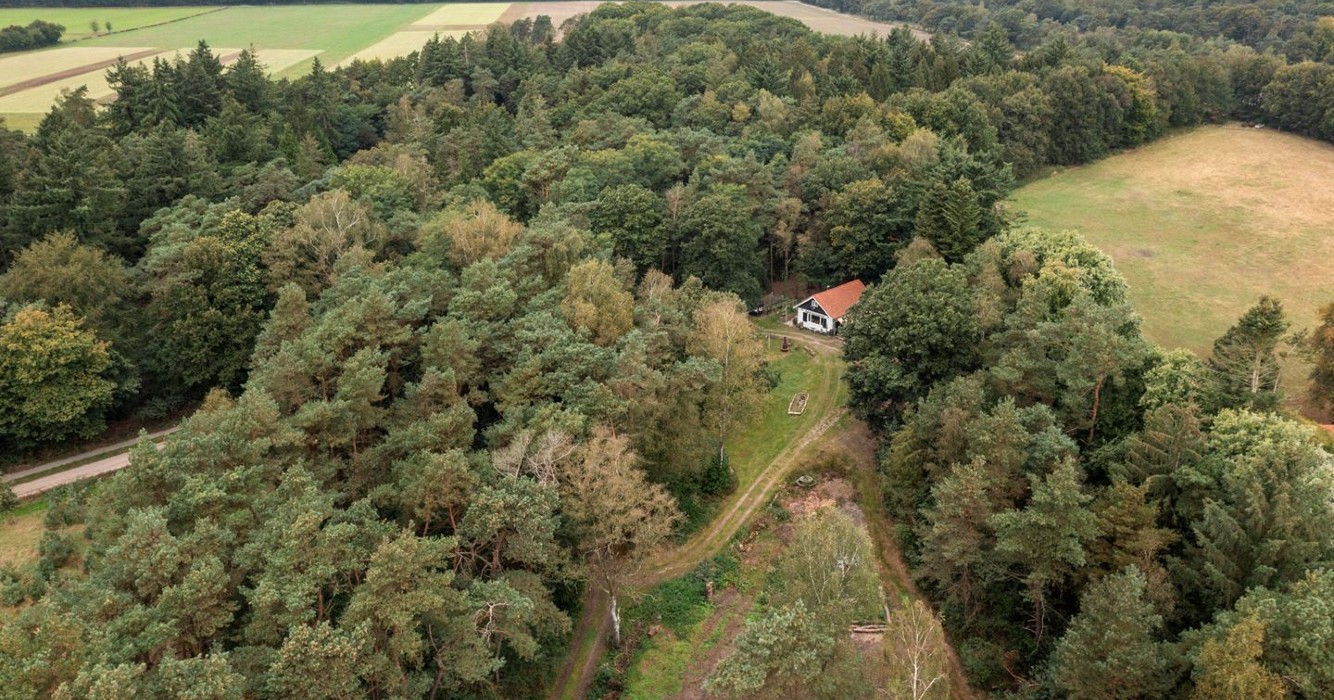 Deze absolute droomwoning in het bos is de droom van iedere introvert