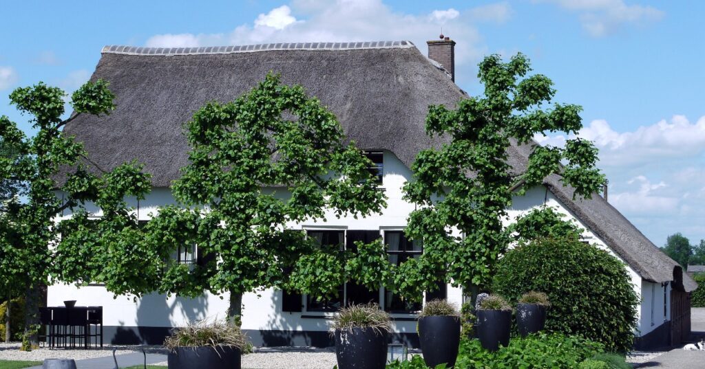 Wat maakt IJsselstein de leukste stad van Nederland?