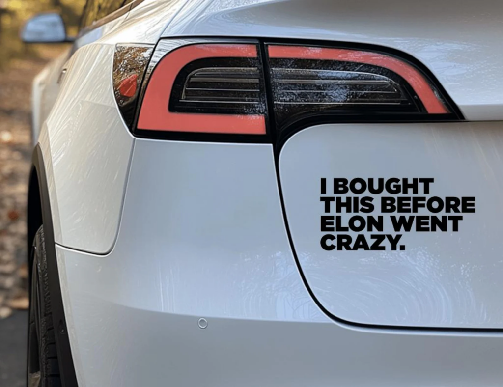 anti Elon Musk bumpersticker