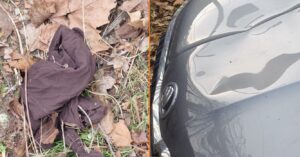 schokkende ontdekking