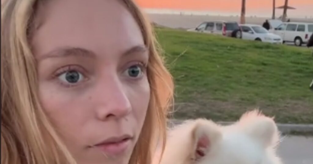 zonsondergang video