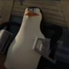 pinguïn