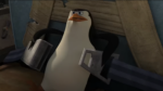 pinguïn
