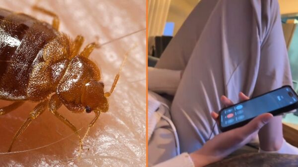 Dochter laat moeder flippen met vraagje over bedwantsen