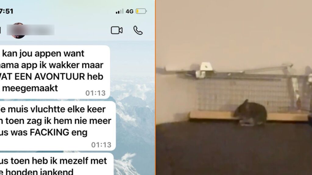 Meisje vangt muis in huis na intense jacht maar sluit uiteindelijk vriendschap met hem