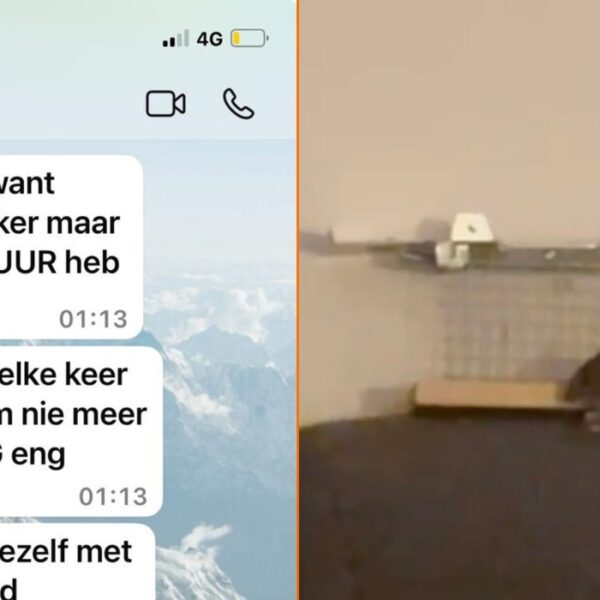 Meisje vangt muis in huis na intense jacht maar sluit uiteindelijk vriendschap met hem