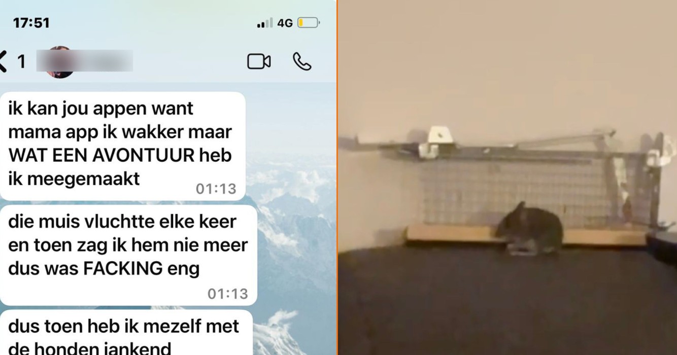 Meisje vangt muis in huis na intense jacht maar sluit uiteindelijk vriendschap met hem