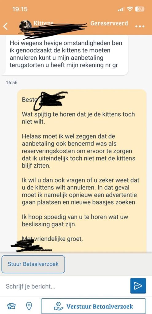 Marktplaats kittens gesprek loopt compleet uit de hand