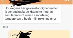 Marktplaats kittens gesprek loopt compleet uit de hand