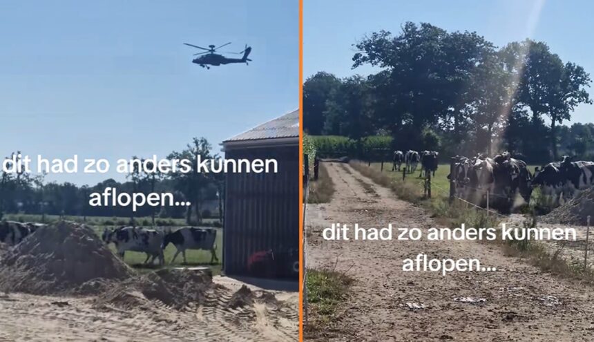 oefenende helikopters