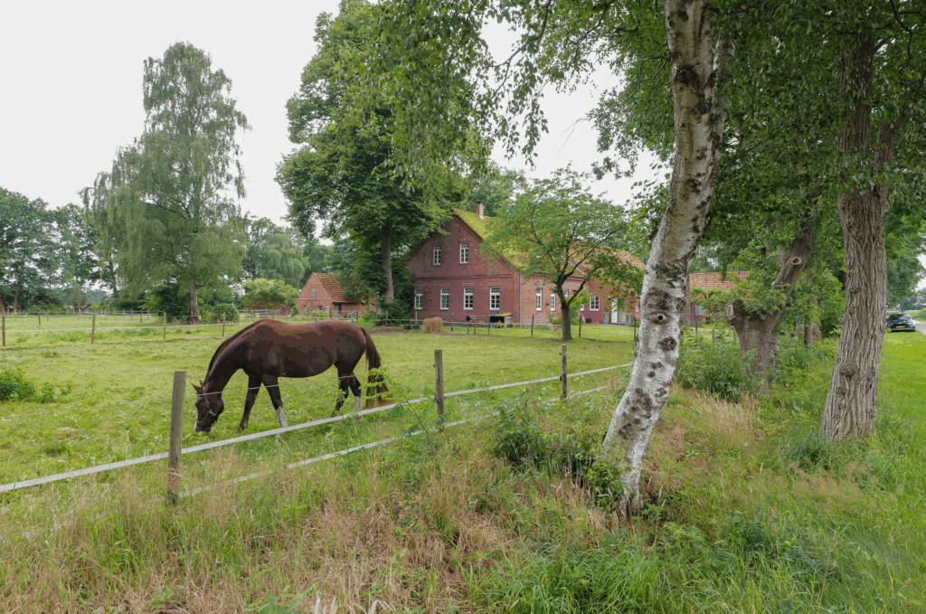 Duitse woonboerderij met manege-mogelijkheden op 1 km van Nederlandse grens te koop voor een prikkie!