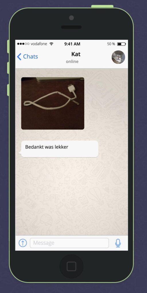 Als katten konden Whatsappen