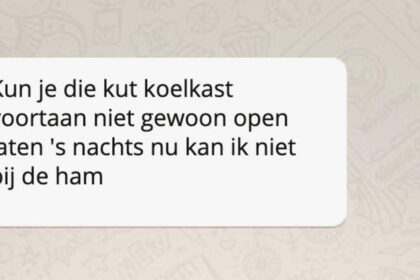 Zo zouden berichtjes er uit zien als je met je katten zou kunnen Whatsappen