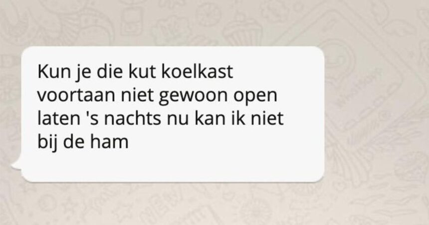 Zo zouden berichtjes er uit zien als je met je katten zou kunnen Whatsappen