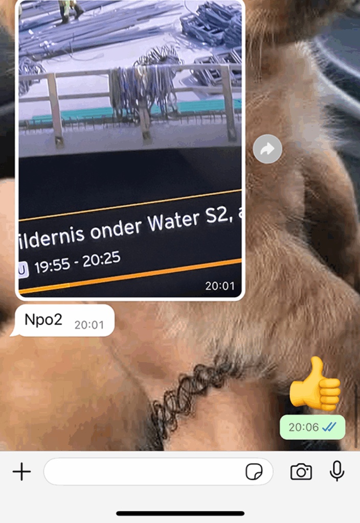 Dame heeft Whatsapp-chat met haar oma waarvan je het bijna in je broek doet