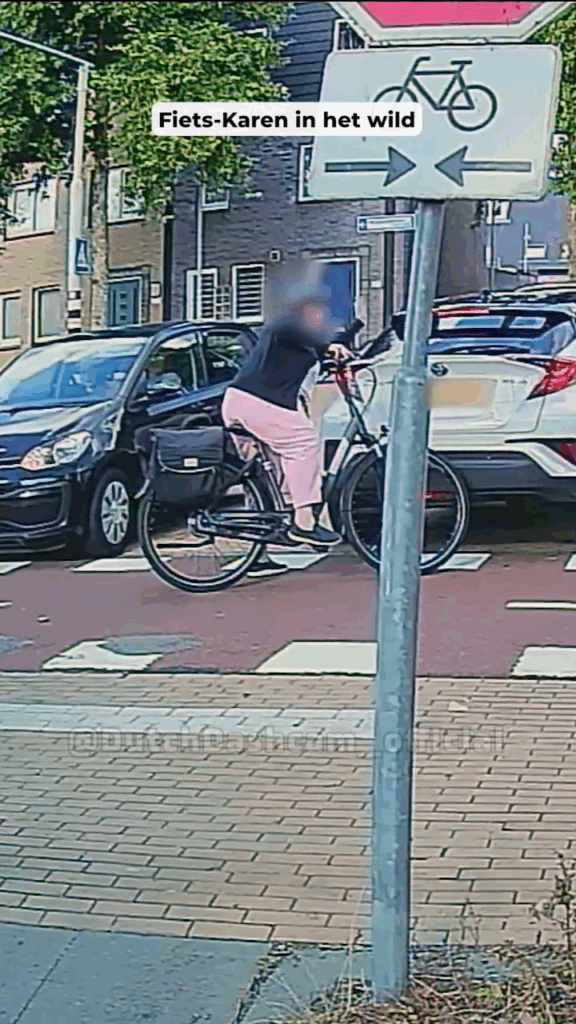 'Fiets-Karen' die totaal uit het lint gaat tegen automobilist gaat internet over: 'Die is niet goed!'