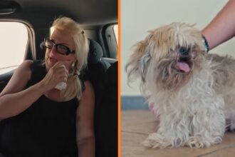 Monique Hansler blundert met opzichtige spelfout in tatoeage voor overleden hond