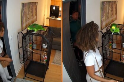 Dame komt er achter dat haar papegaai iets té veel praat als ze date mee naar huis neemt
