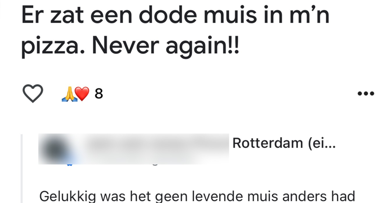 Eigenaar van Rotterdamse pizzeria kan niet echt lekker tegen kritiek en slaat terug in de reviews