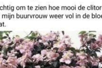 23 mensen die hopeloos in de steek werden gelaten door hun spellingscontrole