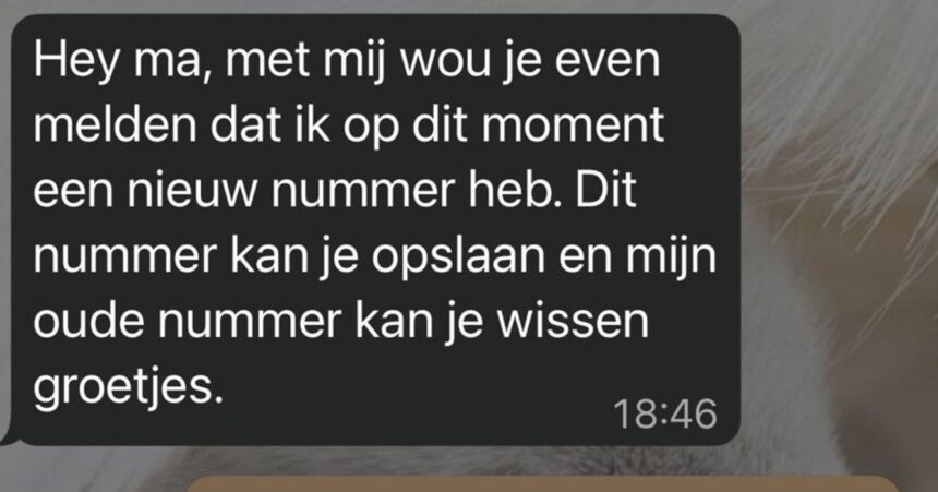 'Ma' laat Whatsapp-oplichter op geniale wijze denken dat hij de jackpot te pakken heeft