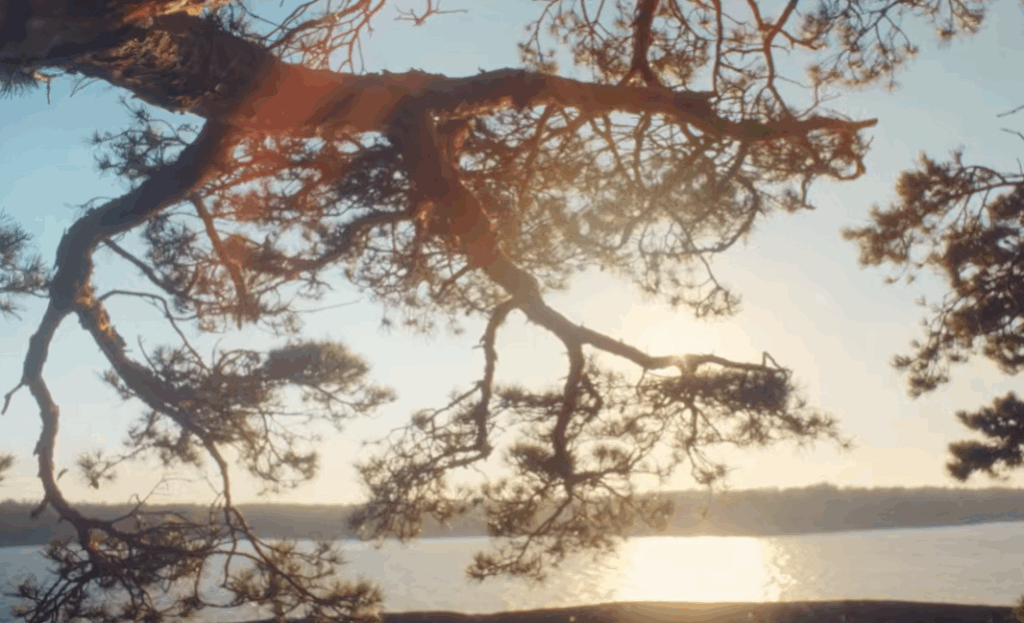 Zweden verloot 4 privé-eilanden om toerisme te promoten