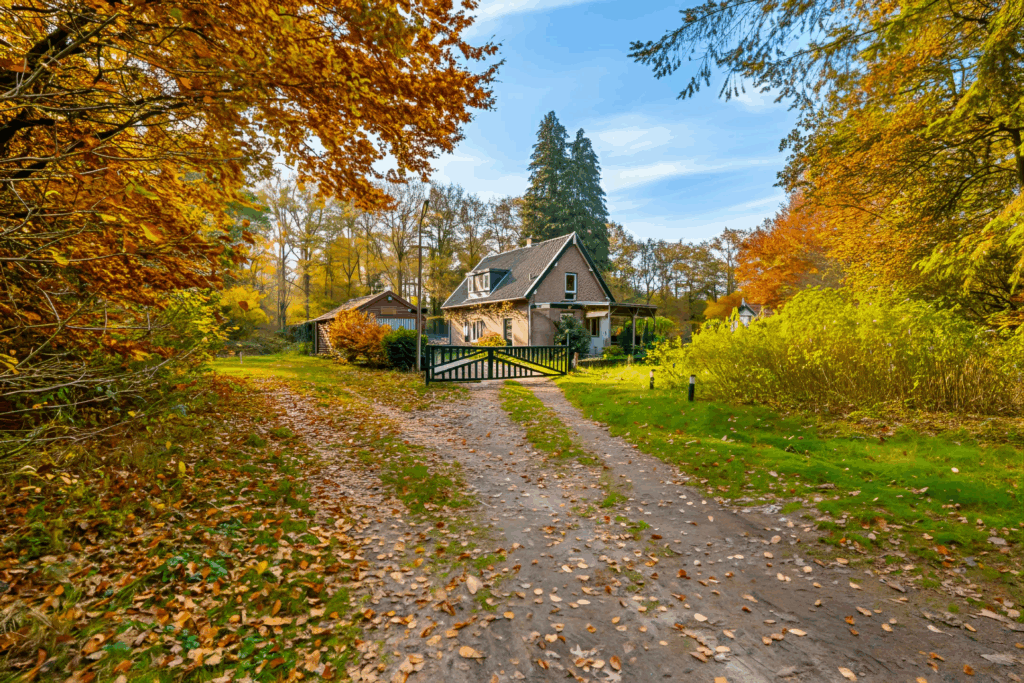 Deze betaalbare boswachterswoning is het droomhuis van iedere introvert