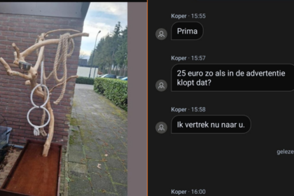 Gast stuurt geïnteresseerde in Marktplaatsboom naar perfecte plek na belachelijk laag bod