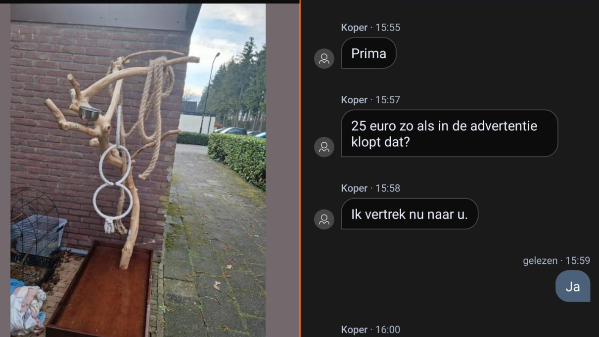 Gast stuurt geïnteresseerde in Marktplaatsboom naar perfecte plek na belachelijk laag bod