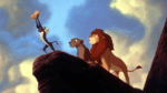 The Lion King-fans teleurgesteld wanneer ze er achter komen wat de tekst in 'The Circle of Life'  betekent