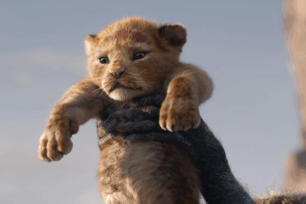 The Lion King-fans teleurgesteld wanneer ze er achter komen wat de tekst in 'The Circle of Life' betekent