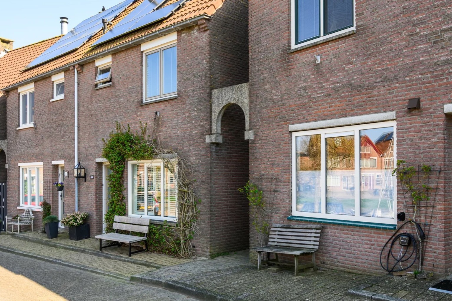 Doodnormaal rijtjeshuis blijkt ineens bizarre 'tropische verrassing' in de kelder te hebben