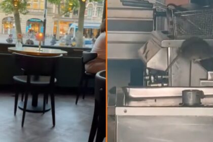 Amsterdams restaurant moet deuren sluiten nadat ratten letterlijk uit het plafond vallen