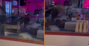 Opnieuw beelden verschenen van ratten die feestje bouwen in keuken van populair Amsterdams