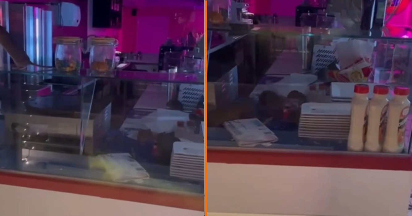 Opnieuw beelden verschenen van ratten die feestje bouwen in keuken van populair Amsterdams