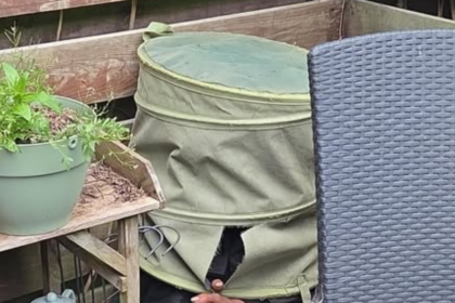 Inbreker in Zoetermeer probeert zich te verstoppen maar politie heeft 'm door: Foto gaat viraal