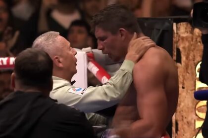 gevecht tussen usyk en verhoeven