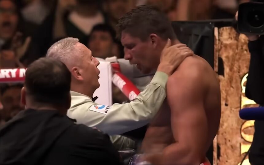 gevecht tussen usyk en verhoeven